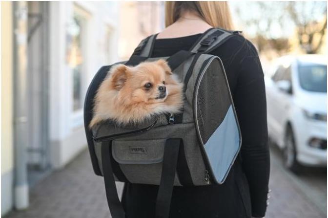 Actual product image Kerbl Dog Backpack Vacation (Dog, Reflectors, Machine washable)