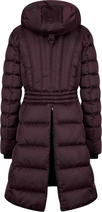 Produktbild Euro-star Ferrera (XS)