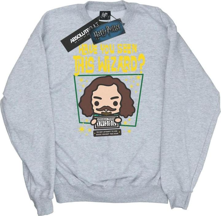 Produktbild Sirius Black Azkaban Junior Sweatshirt (XL)