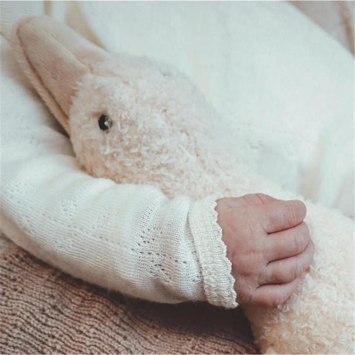 Produktbild Baby Born Comforter Livia