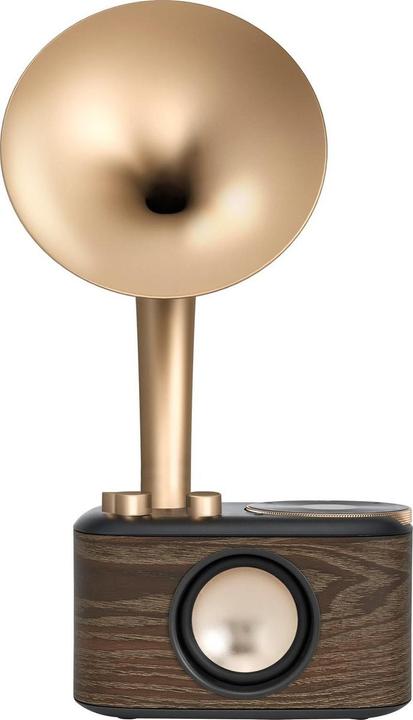 Actual product image Sangean WR-45X Gold Radio VHF (FM) AUX, Bluetooth Oplaadbaar Zwart, Goud (FM, VHF, Bluetooth)