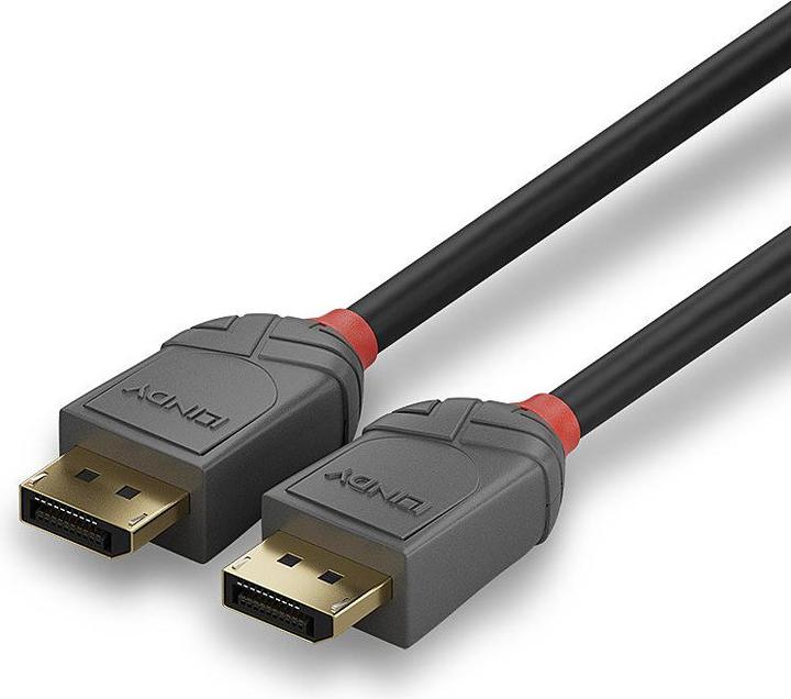 Actual product image Lindy DisplayPort — DisplayPort (2 m, DisplayPort)
