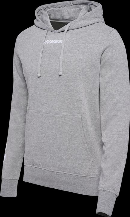 Actual product image hummel hmlELEMENTAL HOODIE (XL)
