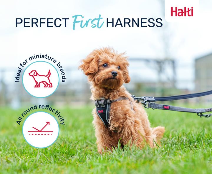Produktbild Company of Animals Halti Anatomy XXS Welpengeschirr (XXS, Hund)