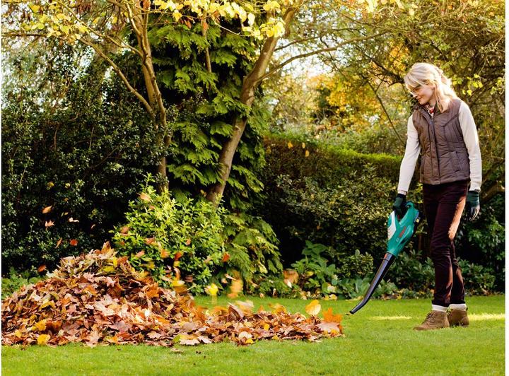 Actual product image Bosch Home & Garden Alb 18 Li (Rechargeable battery operated, Leaf blower)