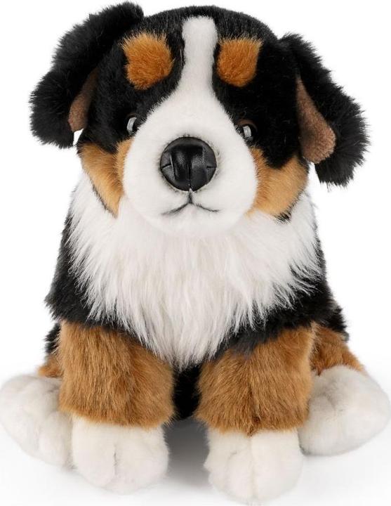 Immagine prodotto Living Nature Cane da montagna bernese (30 cm)