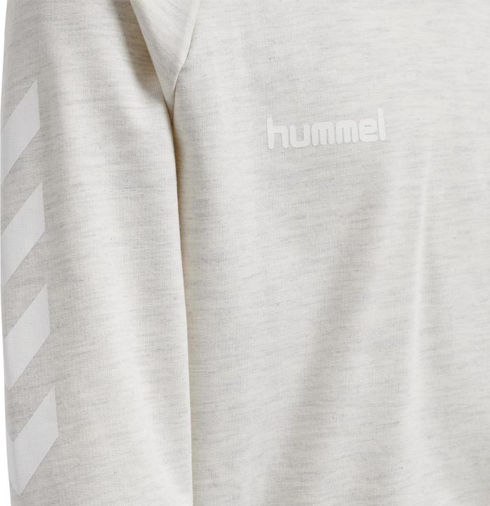 Image du produit hummel Go Kids Hoodie En Coton (176)