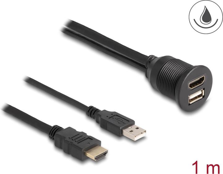 Delock Câble d'extension USB 2.0 HDMI/USB A - HDMI/USB A 1 m (1 m, HDMI)