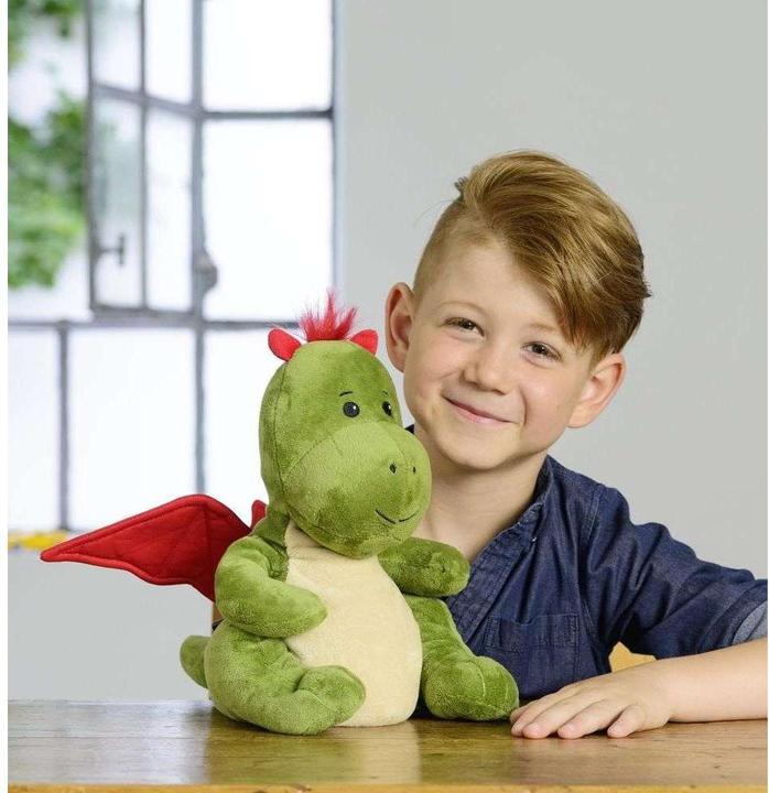 Actual product image Warmies Dragon