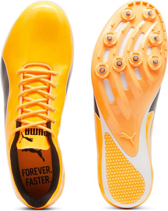 Actual product image Puma Evospeed Sprint 14 (41)