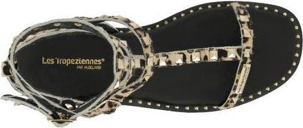 Image du produit LES Tropeziennes - Coralie Leopard (36)