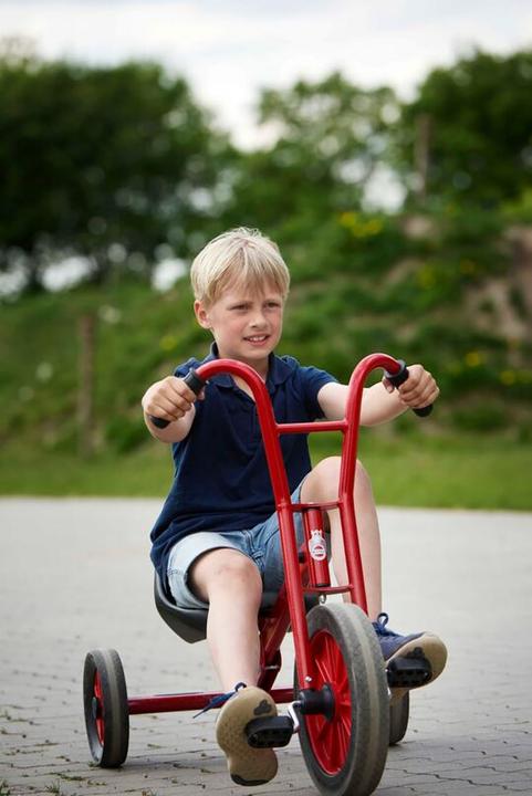 Actual product image Winther Viking tricycle Maxi