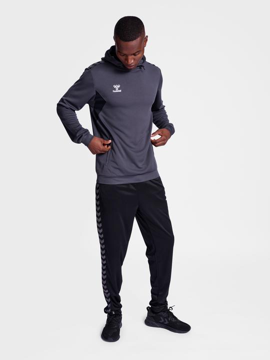 Actual product image hummel Hmlauthentic Pl Hoodie (XL)