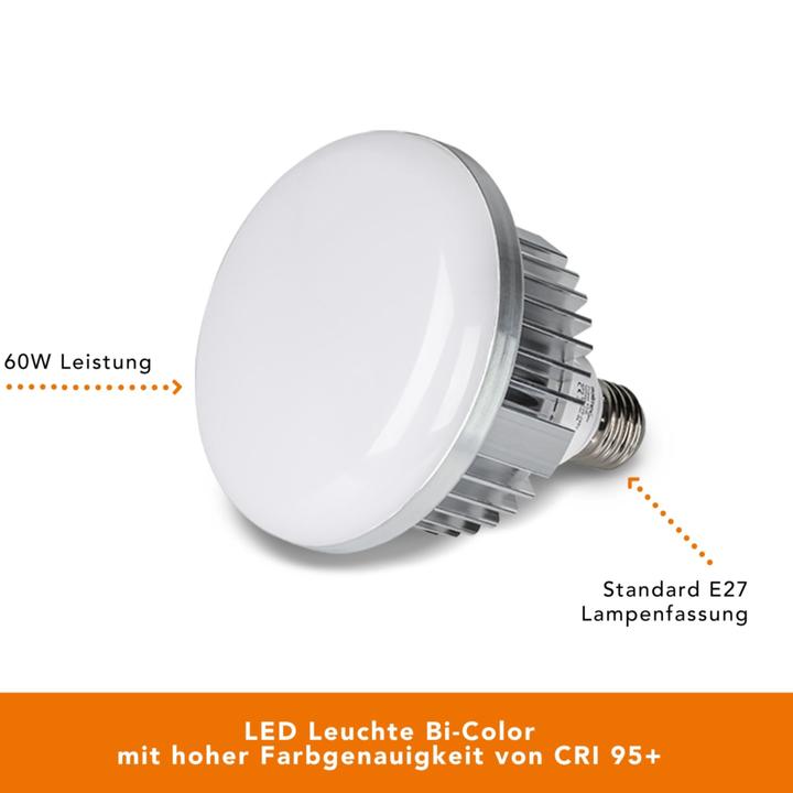 Actual product image Walimex pro LED 60W Octagon (Umbrella reflector, 65 cm)