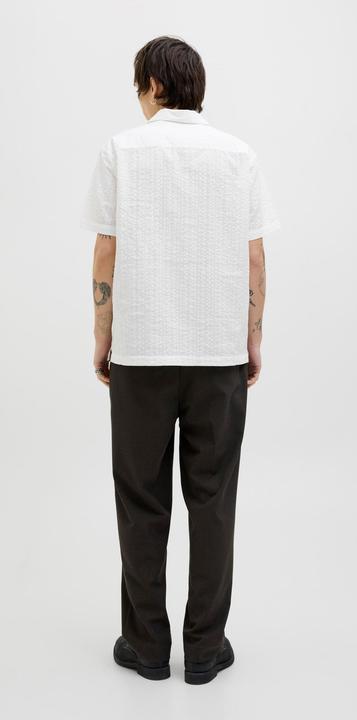 Immagine prodotto Jack & Jones Jprcceaston Seersucker S/S Shirt (S)