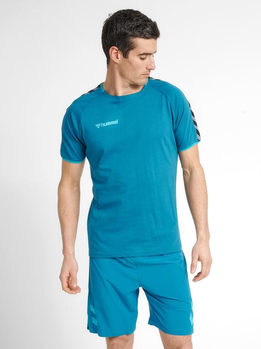 Image du produit hummel Authentic Training Tee (S)