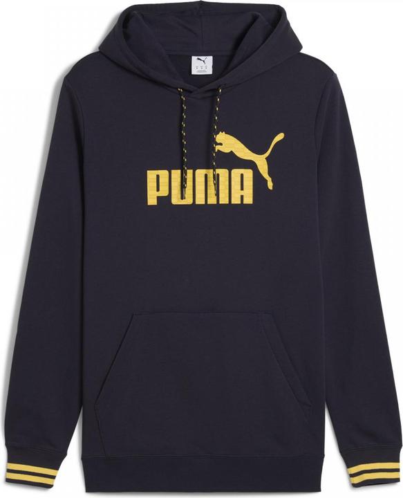 Image du produit Puma UNITED Sweat à capuche TR (L)