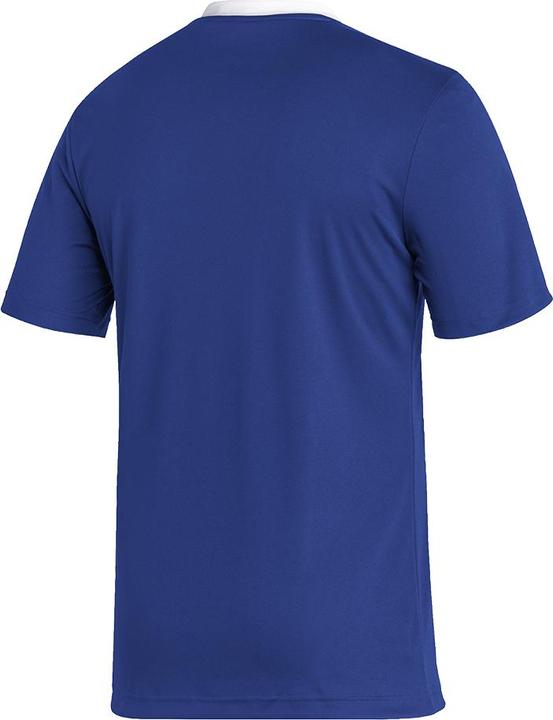 Actual product image adidas Koszulka ENTRADA 22 JSY HG6283 HG6283 niebieski XL (XL)