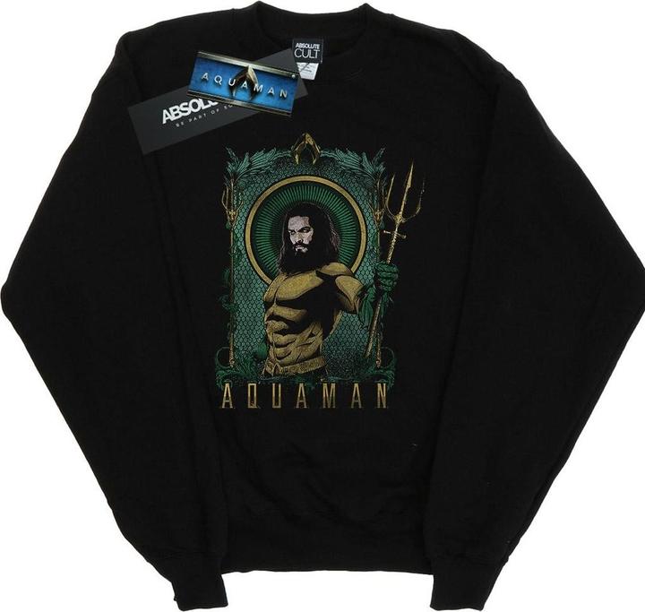 Produktbild Aquaman Framed Trident Sweatshirt Jungen (152, 158)