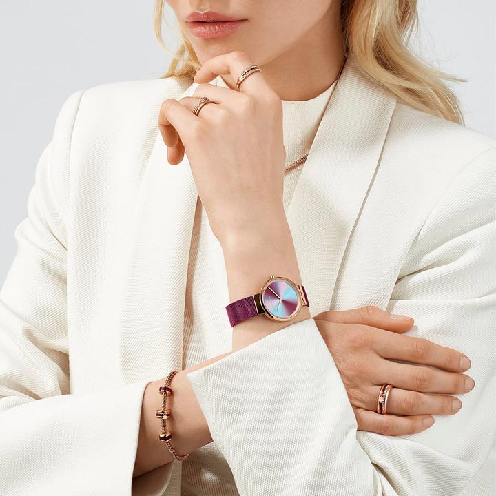 Produktbild Bering Anniversary (Analoguhr, 39 mm)