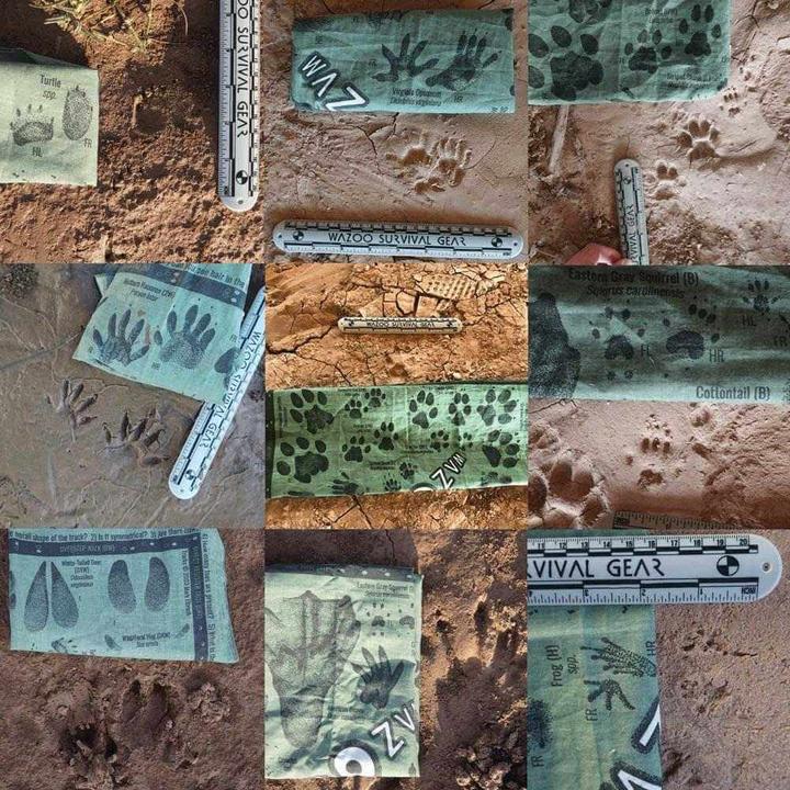Produktbild Wazoo Gear Tracking Bandana