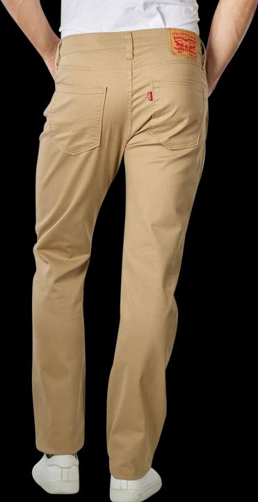 Image du produit Levis 10018279 (W31/L32)