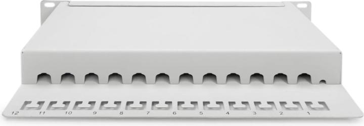 Actual product image Digitus CAT 6A Patch Panel, shielded, 12-Port, 1HE, 10", grey