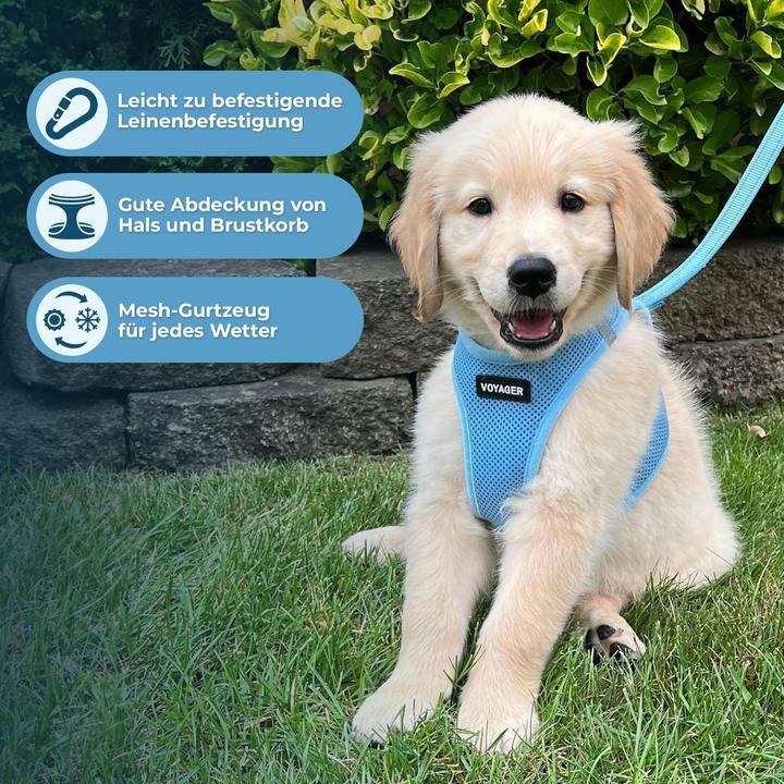 Produktbild Voyager Hundegeschirr (M, Hund)