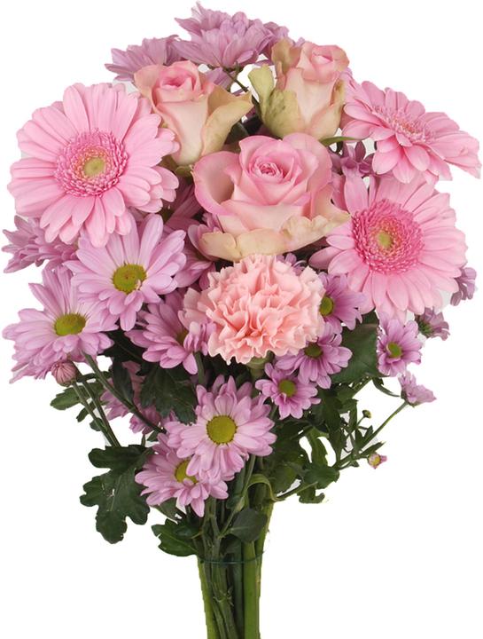 Immagine prodotto Floramall Felice giorno rosa (Fiori recisi)