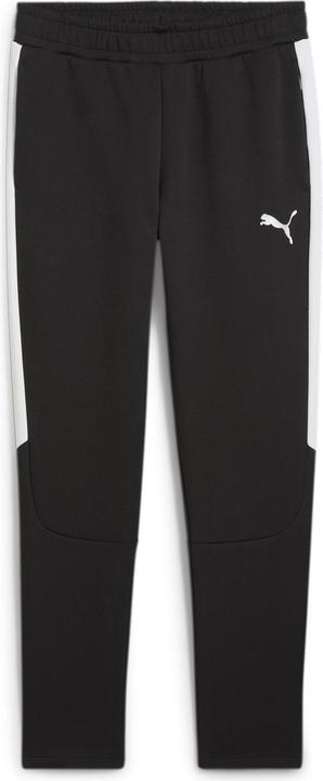 Puma teamEVOSTRIPE Pants