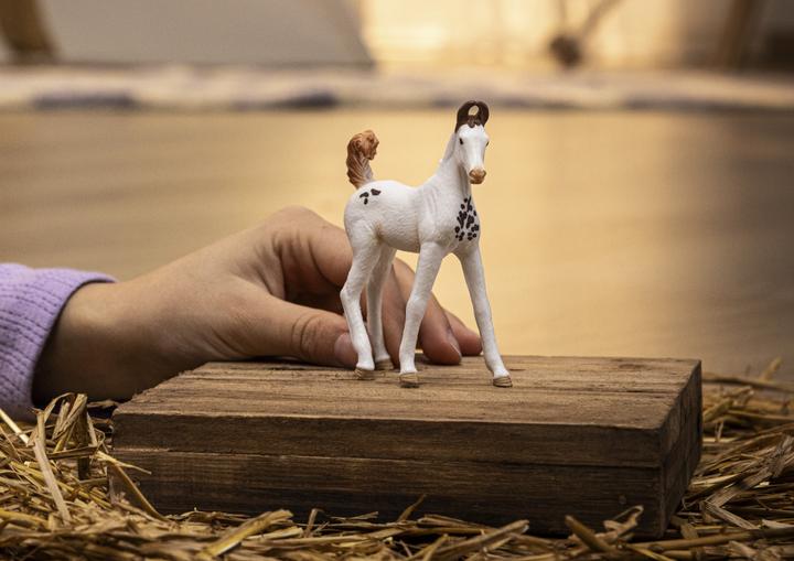 Image du produit Schleich Marwari Fohlen