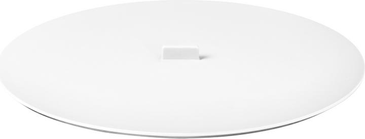 Arctic White