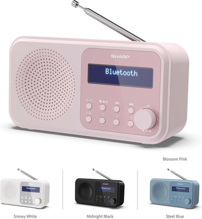 Actual product image Sharp DR-P420 (DAB+, DAB, FM, Bluetooth)