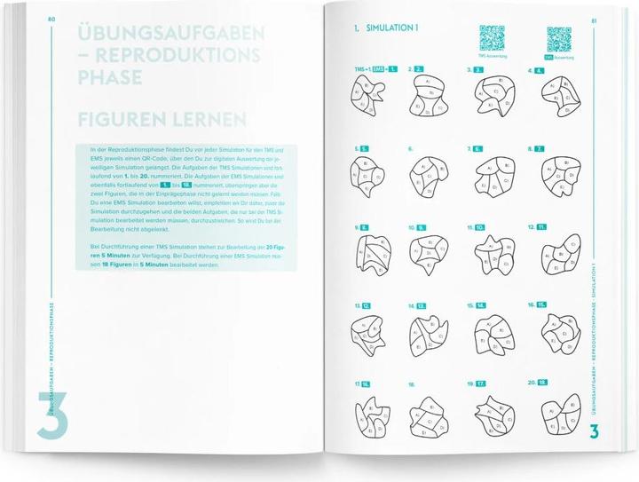 Produktbild TMS & EMS 2017 - Figuren und Fakten lernen (Deutsch, Constantin Lechner, 2024)