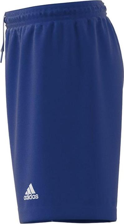 Actual product image adidas Entrada 22 Shorts (116)