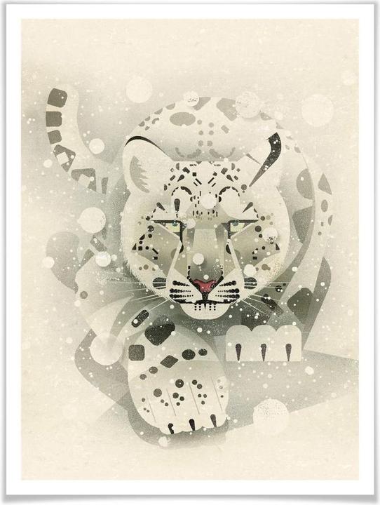 Image du produit Trenddeko Léopard des neiges (60 x 80 cm)