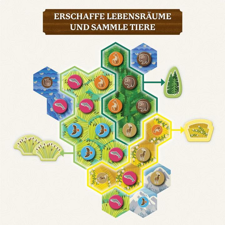 Produktbild Kosmos Cascadia Junior (Deutsch)