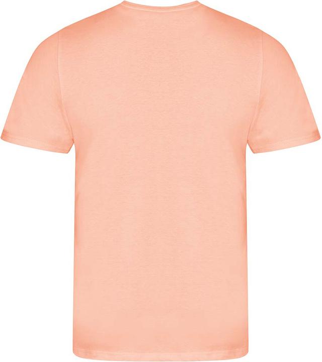 Actual product image Awdis Tshirt Cascades (L)
