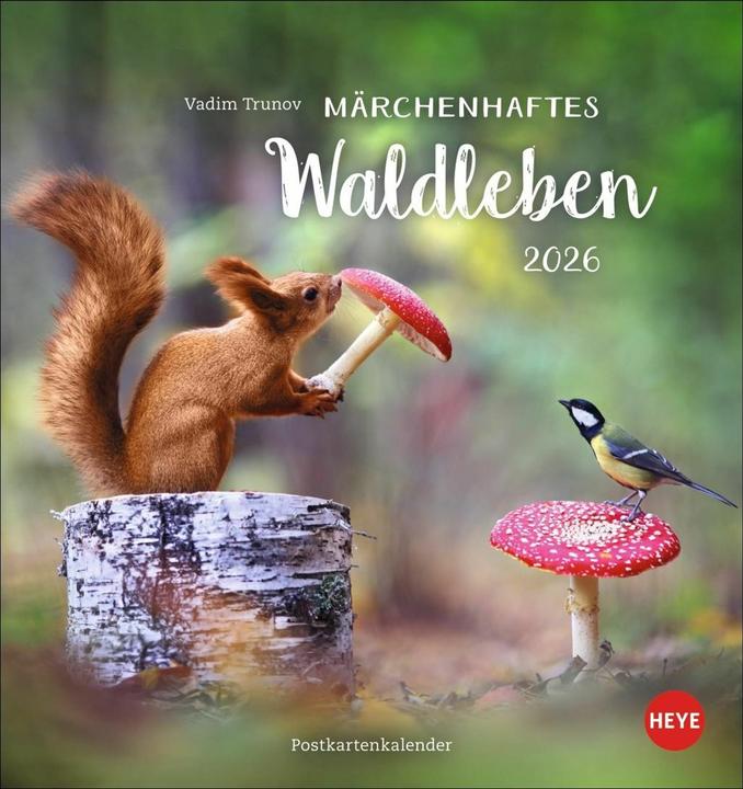 Produktbild Vadim Trunov: Märchenhaftes Waldleben Postkartenkalender 2026 (16 x 17 cm, Deutsch)