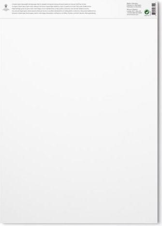Actual product image Winsor & Newton Drawing pad Medium Surface (A3)