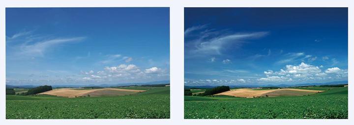 Image du produit Sony Carl Zeiss VF-49CPAM (49 mm, Filtre polarisant, 49 mm)