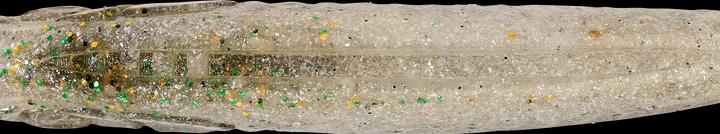 Immagine prodotto Caperlan 338857 (13 cm)