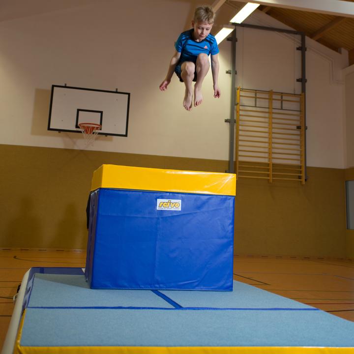 Actual product image Reivo Jumping table Rinogym
