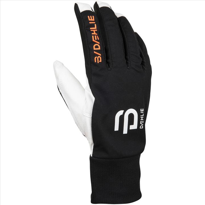 Produktbild Daehlie M Glove Race (10)