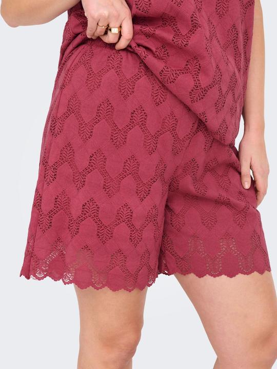 Produktbild Only CARCLEANOR Normal geschnitten Shorts Shorts (46)