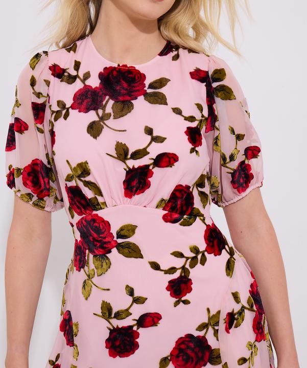 Produktbild Joe Browns Vintage Inspired Devore Rose Mini Dress (18)