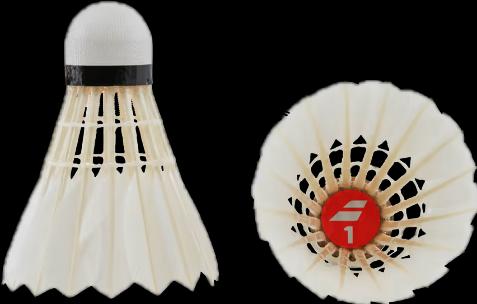 Immagine prodotto Babolat 1
