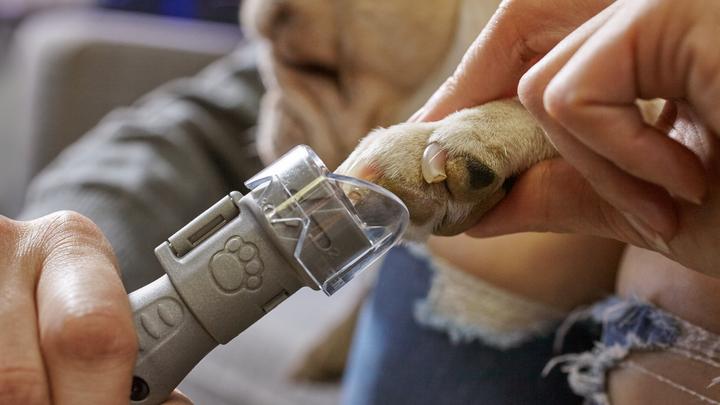 Actual product image Dremel Animal Claw Care (Dog)