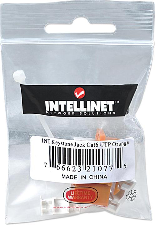 Actual product image Intellinet Cat6 modular jack (Network coupling)