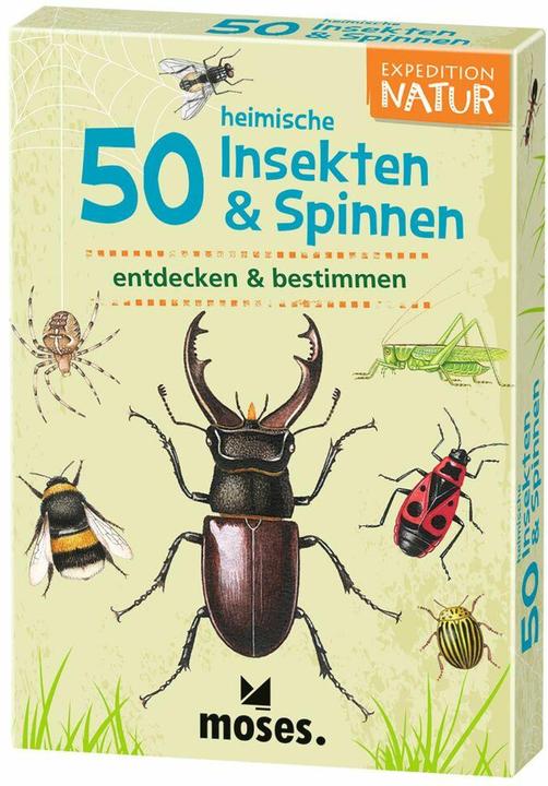 Produktbild 50 heimische Insekten & Spinnen (Deutsch)